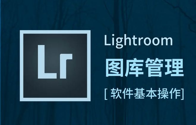 lightroom官网下载